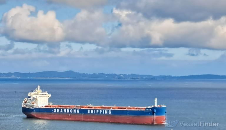 SHANDONG XIN TAI photo