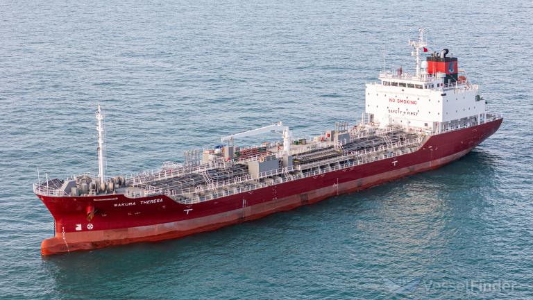 SAKURA THERESA photo