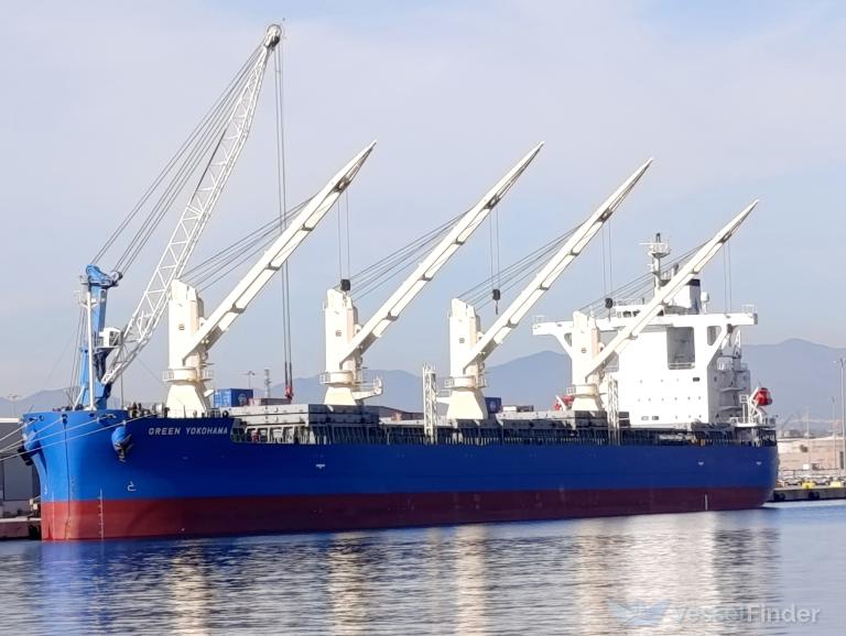 GREEN YOKOHAMA photo