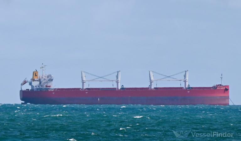 MARLA CHAMPION photo