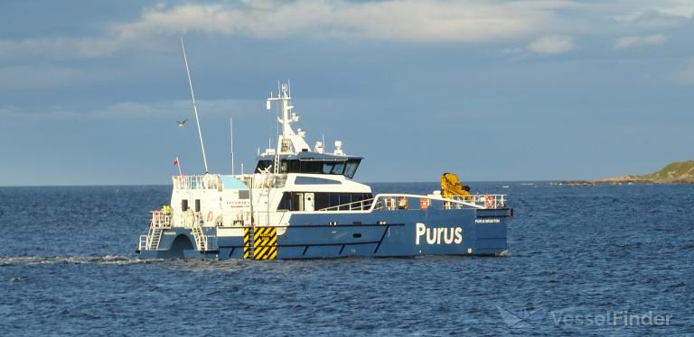 PURUS BRIGHTON