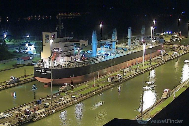 NORSE SUCCESSION photo