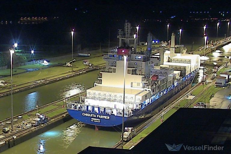 CHIQUITA FARMER photo