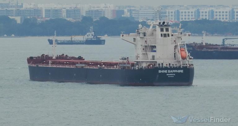 SHINE SAPPHIRE photo