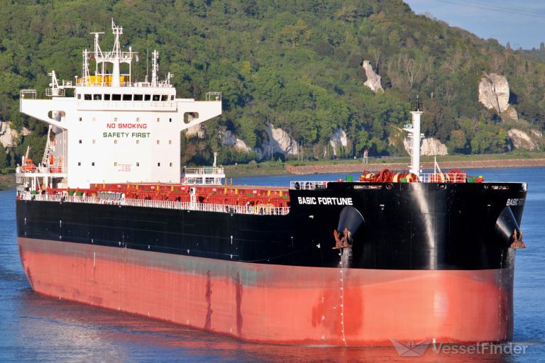 BASIC FORTUNE, Bulk Carrier - Details and current position - IMO ...