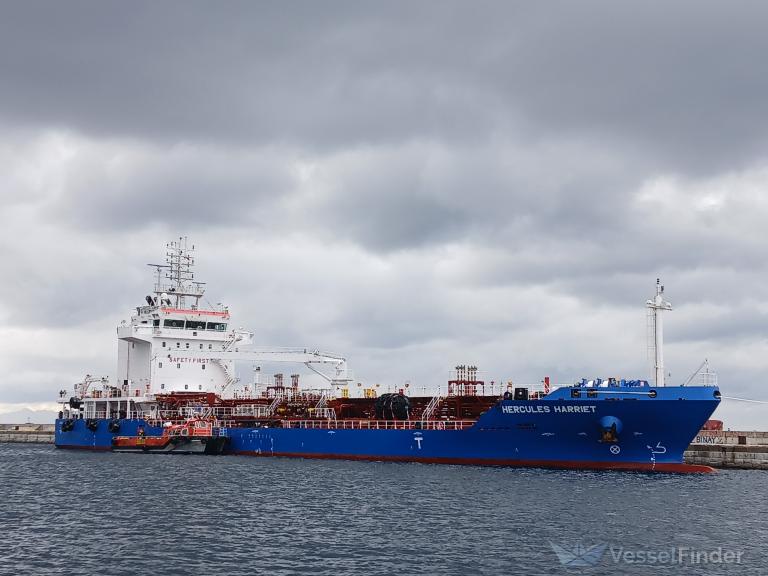 ALI CAN BAYRAK photo