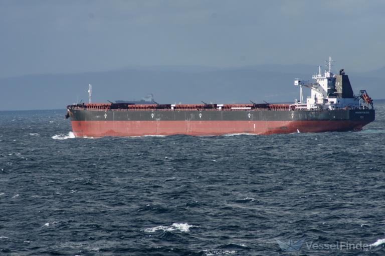 WAN MING PING DENG photo