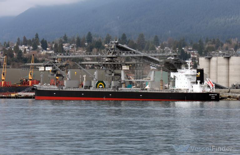 NORTHERN PEARL photo