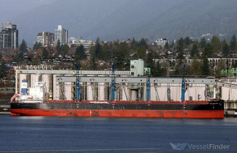 SAGITTARIUS HONOR photo