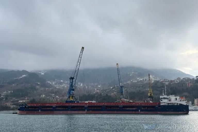 DENIZ STAR photo