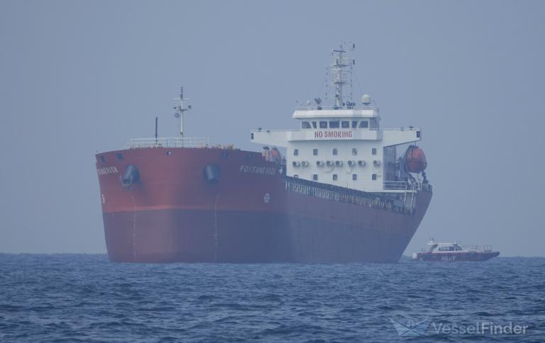 FORTUNE RICH, General Cargo Ship - Details and current position - IMO ...