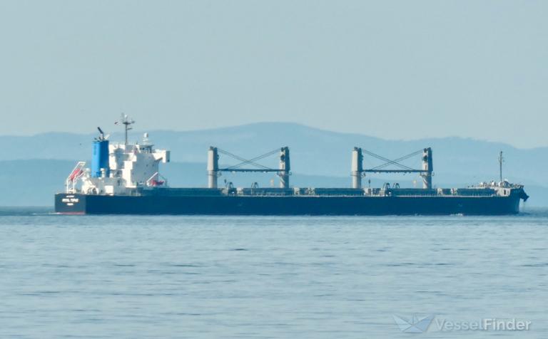 ROYAL TOPAZ, Bulk Carrier - Details and current position - IMO 1073743 ...