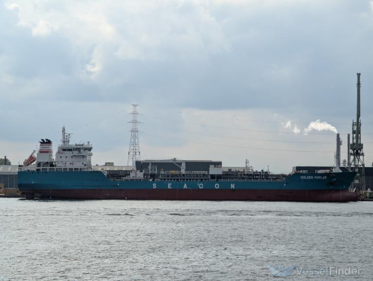 GOLDEN POPLAR, Chemical/Oil Products Tanker - Schiffsdaten und aktuelle ...