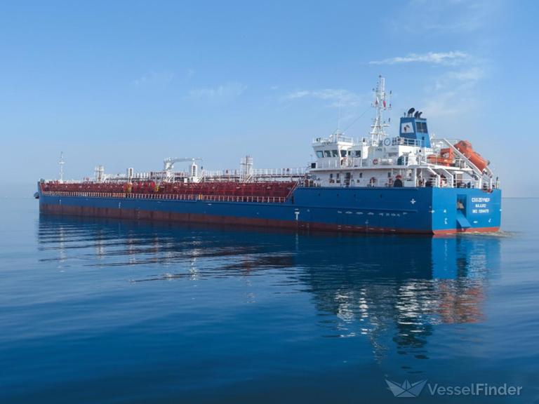 CSS ZEYNEP photo