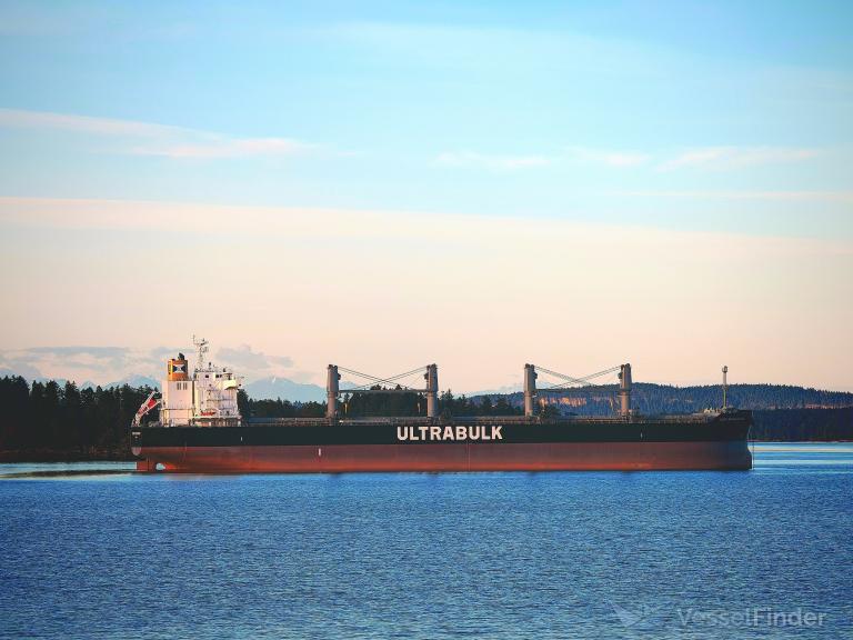 ULTRA DETERMINATION, Bulk Carrier - Details and current position - IMO ...