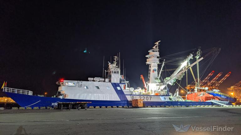 NEW PROSPERITY photo