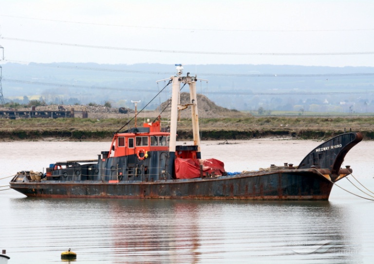 MEDWAY RHINO photo