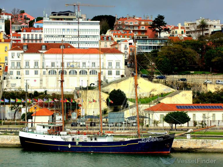 PRINCIPE PERFEITO photo