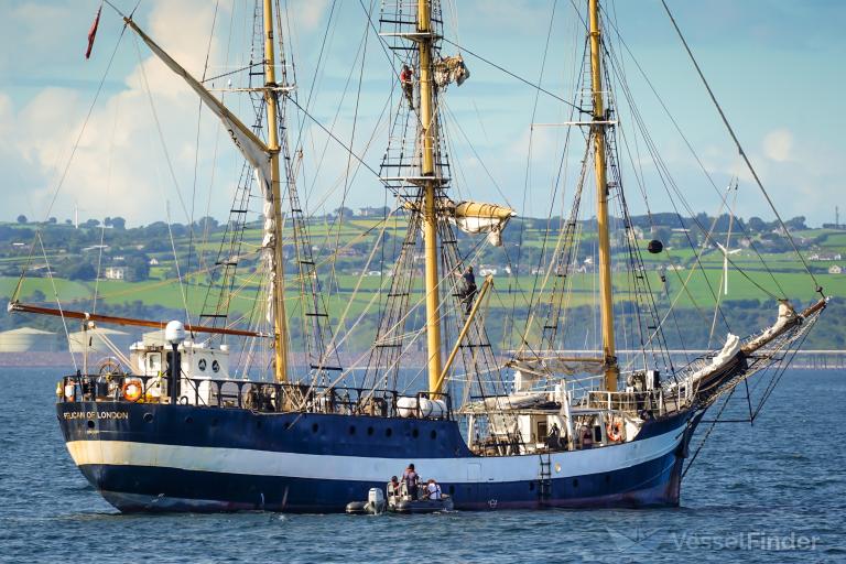 PELICAN OF LONDON photo