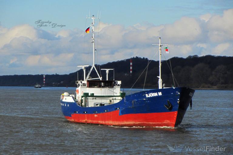 BJOERN M photo