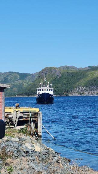 MARINE TRADER photo