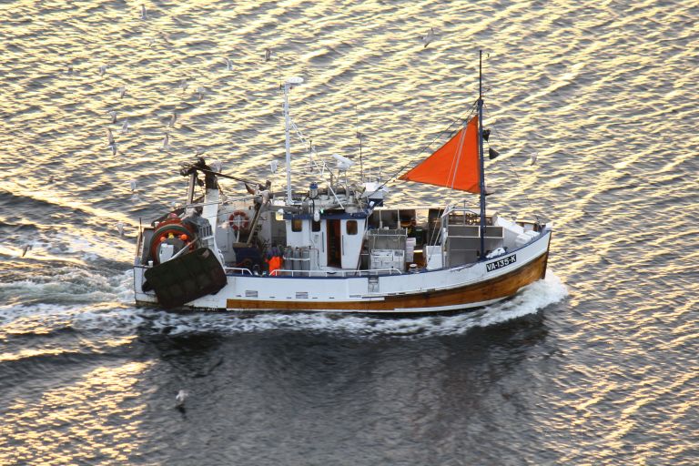 RINGASKJAER photo