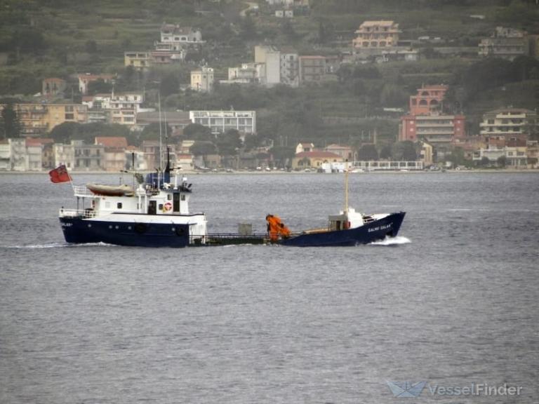 SALMO SALAR LK photo