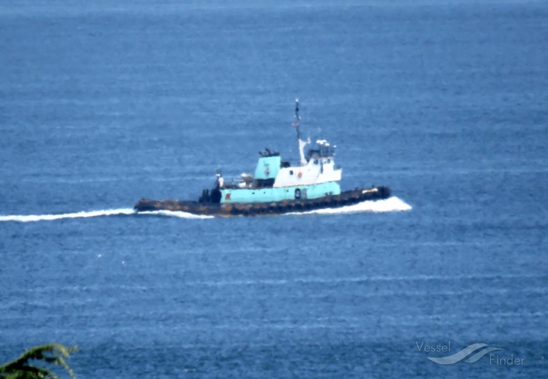 ISLAND SCOUT photo
