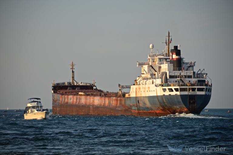 TIM S DOOL Bulk Carrier Details du bateau et situation actuelle IMO 6800919 VesselFinder