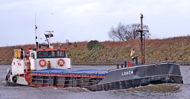 LOACH photo