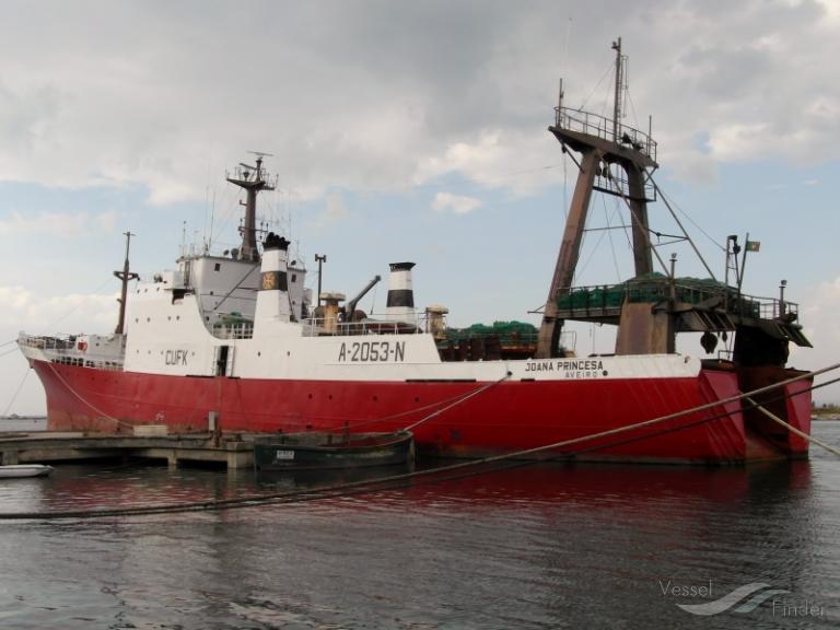 JOANA PRINCESA photo