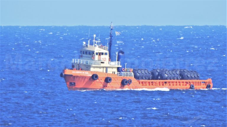 GOLONDRINA DE MAR photo