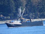SEA-VENTURE