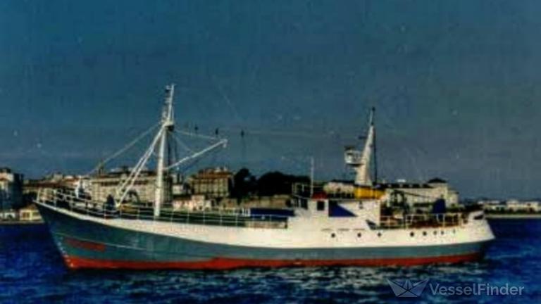 ELISEO QUINTANERO photo
