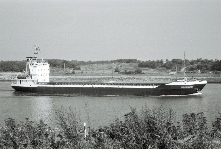 BUSTEIN photo