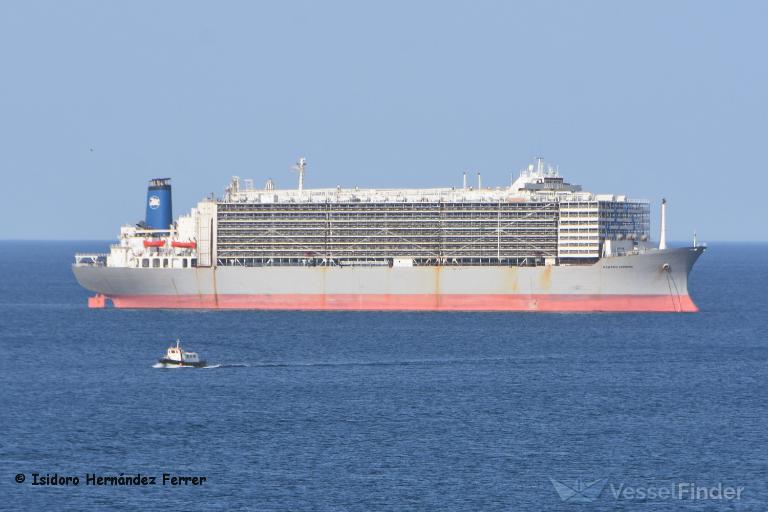 MAWASHI EXPRESS, Livestock Carrier - Details and current position - IMO ...