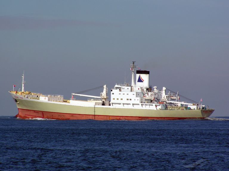 STAR IV photo