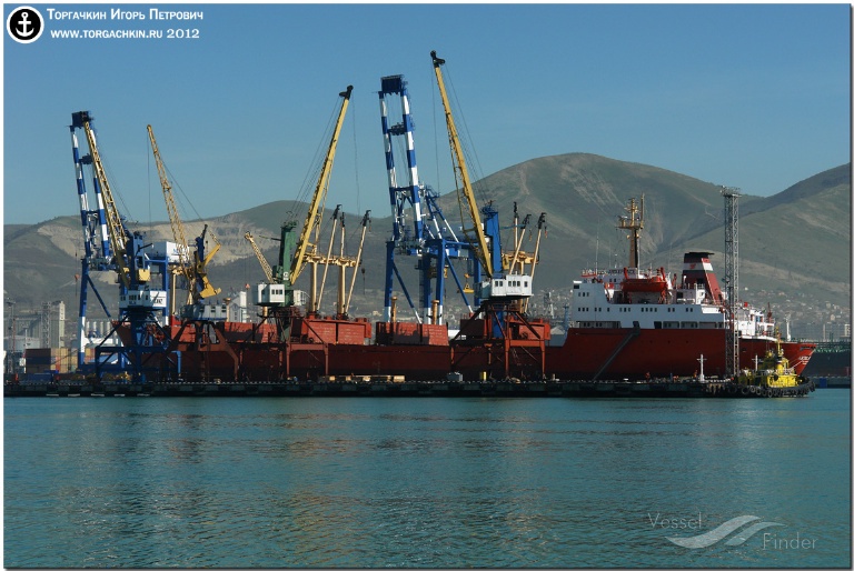 MERAL QUEEN photo