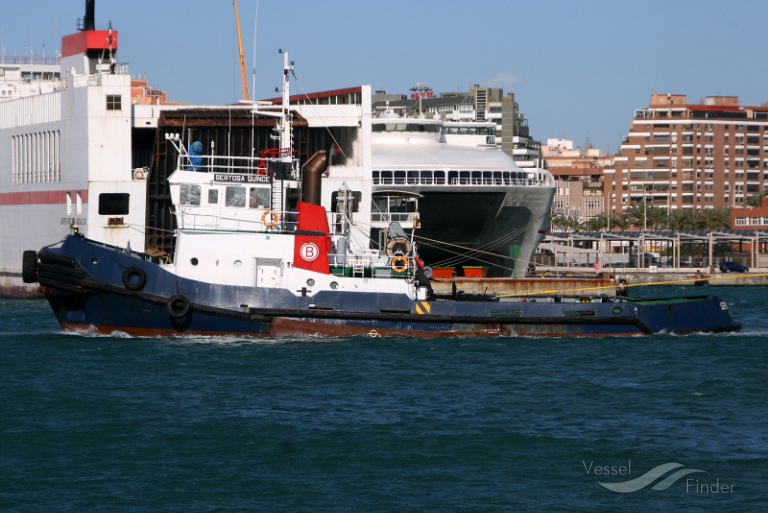 SERTOSA QUINCE photo