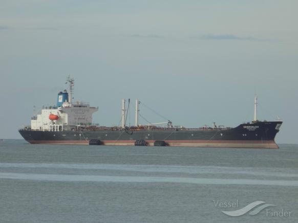 CENDRAWASIHP.3005 photo