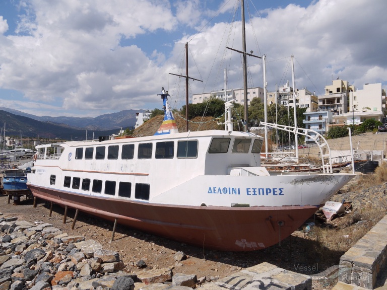 DELFINI EXPRESS photo