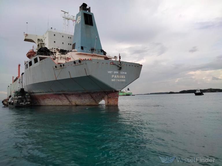 VIET DRAGON 68 photo