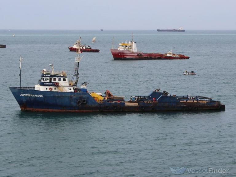 LOBITOS EXPRESS photo