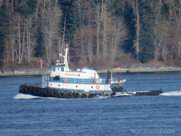 LE CHEVAL ROUGE photo
