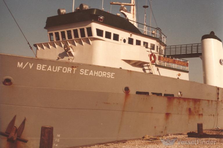 BEAUFORT SEAHORSE photo
