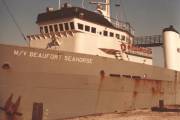 BEAUFORT-SEAHORSE