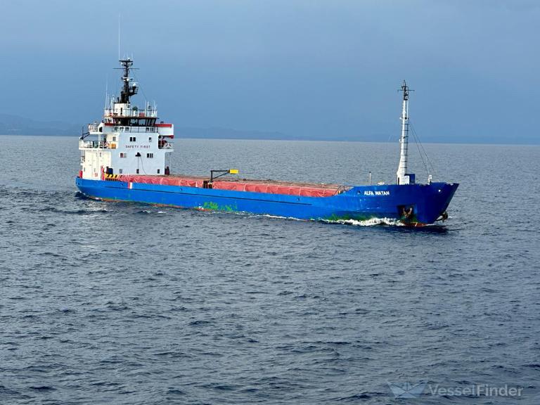 ALFA WATAN photo