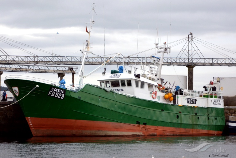 FV O GENITA photo