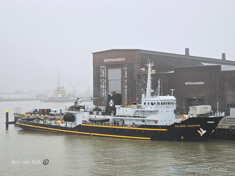 SALVAGE CHAMPION photo