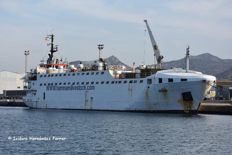 Elita General Cargo Ship Detalles Del Buque Y Posicion Actual Imo 7601073 Mmsi 750401000 Vesselfinder